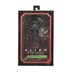 Alien Romulus 24 cms -...