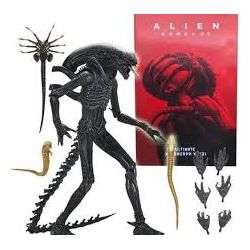 Alien Romulus 24 cms -...