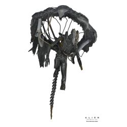 Alien Romulus 24 cms -...
